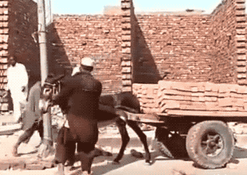 邢台|搞笑GIF：吃个东西都能飞起来