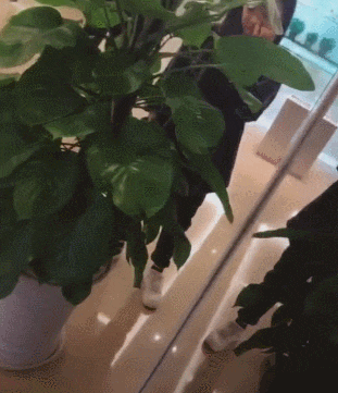 妹子|搞笑GIF: 就服你们, 硬是把掰手腕弄成跟干架一样