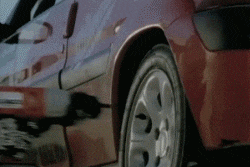 妹子|搞笑GIF:谁知道这什么什么品种,圣诞送给女神应该不错吧