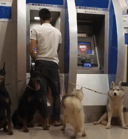 怪怪|爆笑GIF: 这场景总觉得哪里怪怪的