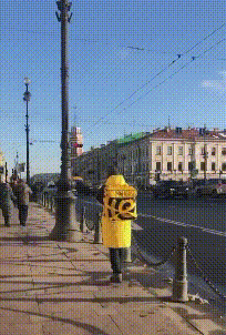 蠢驴|搞笑GIF:难怪都说蠢驴!