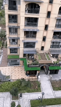 长命百岁|搞笑GIF：一只不知道怎么下来的变色龙