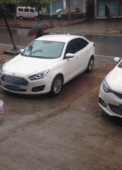 情况|搞笑GIF：这什么情况，怎么这么多鱼？