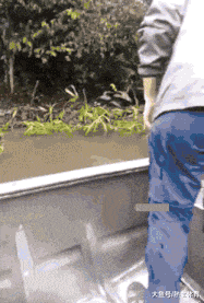 这一下|搞笑GIF:哎呀!失误,失误,我是第一次这样开酒!