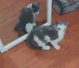 好看|换上新娘装的我太好看了, 都快被自己迷死了！