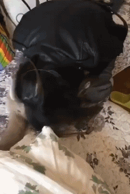 难受|搞笑GIF:刚才的到底是谁!在干什么啊!弄的我好难受!