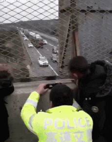 免费|哈哈!高速免费了,应急车道可不免费呀