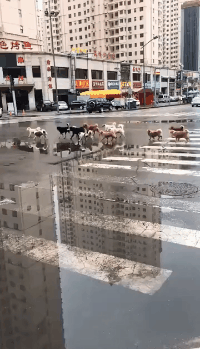 搞笑|搞笑GIF：离我远一点...看见你就心烦！