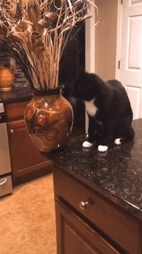 孩子|搞笑GIF:这睡衣不错