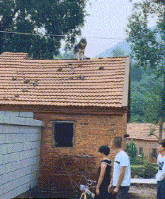 两个|GIF搞笑趣图:你们两个发生什么矛盾了!怎么把女朋友扔了!