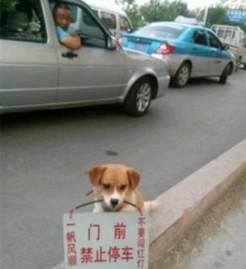 段子|男子竟敢在女神的婚礼上做这种事?