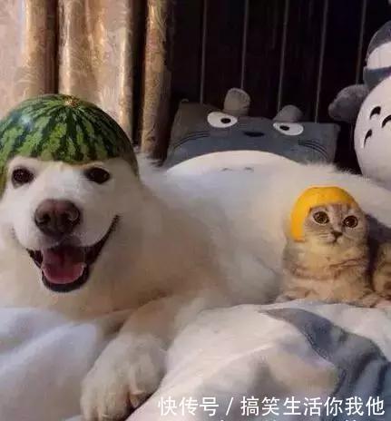 姑娘|搞笑GIF动图：姑娘，你这脚的味道真让人受不了