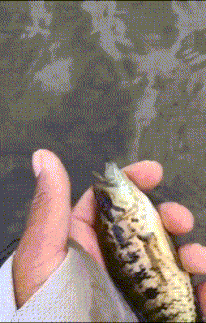 小样|搞笑GIF:没有想到这哥们不是和我打招呼,搞得我好尴尬