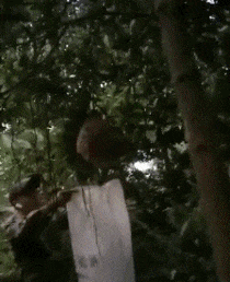 还是|搞笑GIF趣图:妹子,你到底是冲浪呢,还是太浪呢