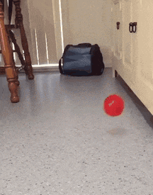 师兄|二师兄，你是不是又做噩梦了