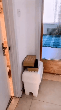 这是|搞笑GIF: 这是不想要女朋友了吧?