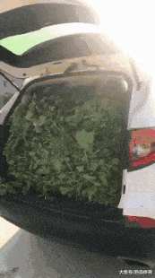 小狗|搞笑GIF：儿子说喜欢小狗，没办法弄了只，只有这一条件了