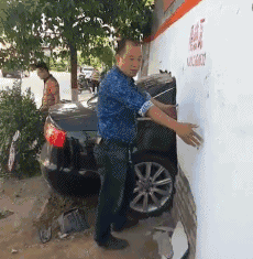 搞笑图片|搞笑图片：南方大雪，最开心的竟然是这群猪~