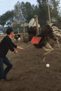 大车|搞笑GIF:这技术绝了,大车司机不知道练过多少次呢