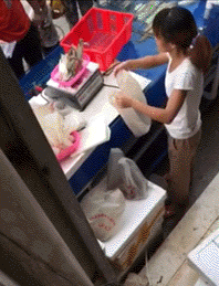 敬明|每日GIF：郭敬明侵犯李枫跟陈学冬？美女遭卡车碾压竟毫发无伤