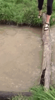 媳妇|搞笑GIF趣图:妹子,你干嘛,当着面也敢抢人家男朋友,你不知道对面姑娘很强悍吗