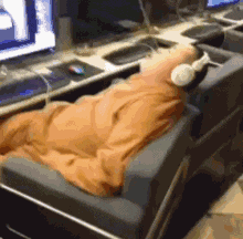 哥们|搞笑GIF：哥们，你家狗子很聪明，能看自行车