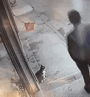 孩子|搞笑GIF动图：这女朋友要不得，想哄她你都追不上