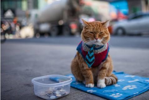 老公|璐璐搞笑同盟“之”103期:孩子的睡姿醉了,一定要坚强的活下去