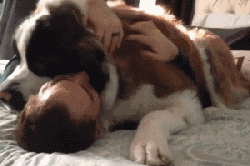 队友|遇上坑爹的狗队友,总是让人毫无防备又哭笑不得!