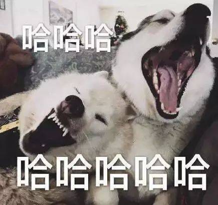 清奇|“妈！我不小心绊了一下摔尿上了” 谁还不是一个“脑洞清奇”的少年!
