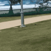 妹子|搞笑GIF:你的嘴也太大了!真的吃下去!惊呆了!