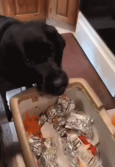 老人|搞笑gif：小姐姐，你看到了什么，这汤你还喝吗