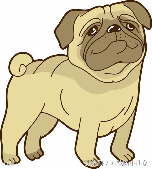 大哥|蠢不蠢，看看就知道了