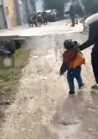 申请书|GIF搞笑趣图:我要辞职了,我这申请书老板肯定会批!