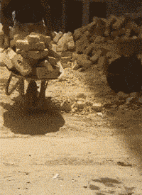 厕所|搞笑GIF动图：终于完成了我小时候想最想观察的结果之一