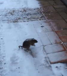 耙子|搞笑GIF:化了妆自己孩子不认识了 。。。