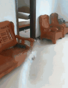 怪怪|爆笑GIF: 这场景总觉得哪里怪怪的