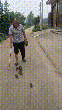 屈才|搞笑GIF趣图：这个技术牛大了，做理发师有点屈才了