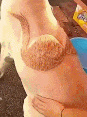 超人|搞笑GIF：吓坏宝宝了！这一定是亲妈