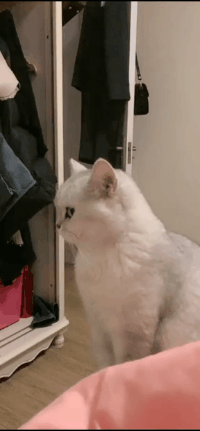 妹子|搞笑GIF:妹子,需要救援吗?我来救救你吧!!