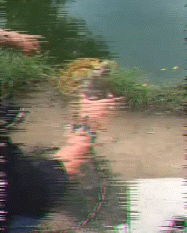 意思|搞笑gif: 直到我长大以后我才看懂什么意思