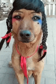 滑冰|搞笑GIF:看看我们大东北,滑冰这玩意根本就不用学的