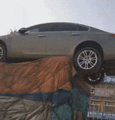 东西|搞笑GIF:我家的猫怎么了,是不是看到我看不到的东西了。