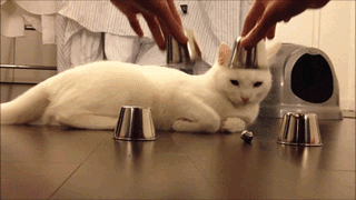 坦克|搞笑GIF：风太大，人都吹跑了