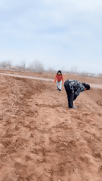 门外|搞笑GIF：门外写着内有恶犬，但我没相信