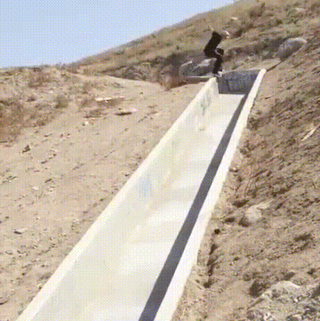 哥们|哥们你一定要忍住别笑, 不然会惹祸上身的！