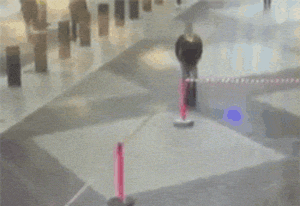 炎炎|搞笑GIF：每日一发，炎炎夏日博您一笑！