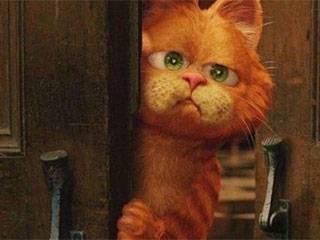 加菲猫|搞笑gif：加菲猫，你在偷看什么