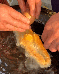 油条|搞笑gif: 油条加一个鸡蛋是油条的高配plus版