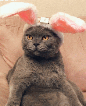 哈哈|搞笑GIF:只有男人才懂得动作~